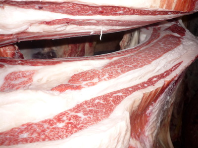 ͥ�ɾޡ�147����Ϣ�����Ҿ쭢