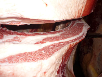 ͥ�ɾޡ�090���Ĺ��ʭ�