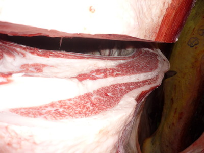 ͥ����1�ʡ�134���筢