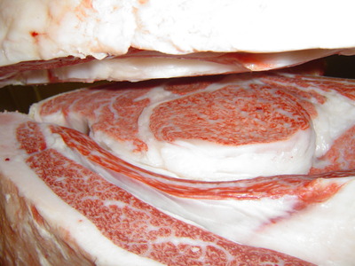 ��ͥ���ޡ����ڡ˻��ꭡ