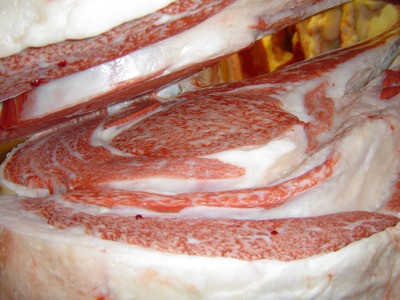 ͥ�ɾޡ����Ҥ���Į�µ����󥿡���