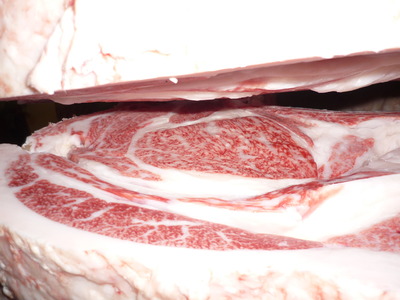 Í¥Îɾޡ¡059ËÅç̱ͺ¡