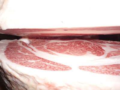ͥ�ɾޡ�91�����μ���
