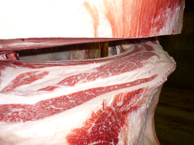 ͥ�ɾޡ�155��ƣ�׭�