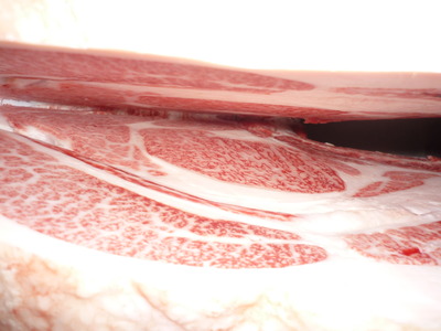 ºÇÍ¥½¨¾Þ¡¡080ÀаæÎ´ÆóϺ¡