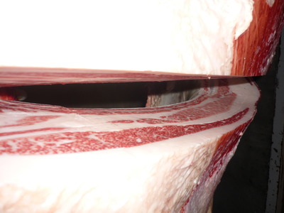 Í¥½¨¾Þ2ÀÊ¡¡52ÌÚ¼½¤¢