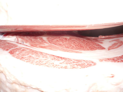 Í¥Îɾޡ¡082±§ÅÔÌÚ°ìÉס