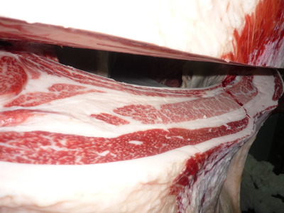 5374���ѵ�����ꭣ