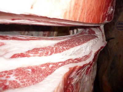 ͥ�ɾޡ�151�����ϢPF�����Ҿ쭢