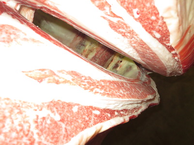 20201106.145���ĭ�