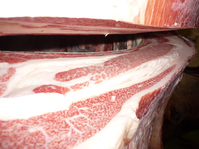 ��ͥ���ޡ�156(ͭ)��ƣ�Ҿ쭢