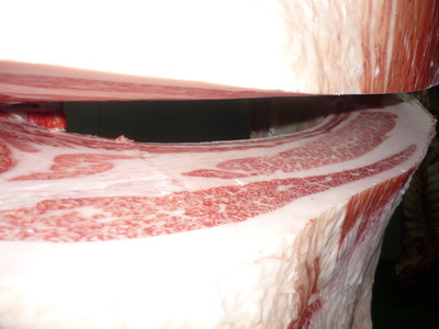 5373���ѵ�����ꭤ