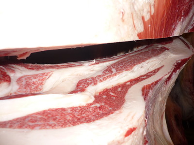 ͥ���ޣ��ʡ�135�߳ڽ��׭�