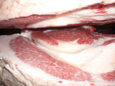 ͥ�ɾޡ�67��ƣ�Ҿ쭡