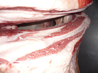 ͥ����2�ʡ����쥤������̾ޡ�056������魢