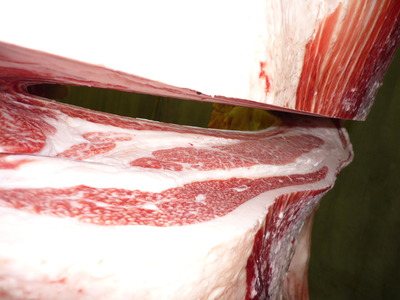 ͥ�ɾޡ�154��ƣ�׭�