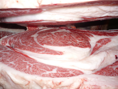 Í¥Îɾޡ¡076²ÃÆ£ËÒ¾ì¡