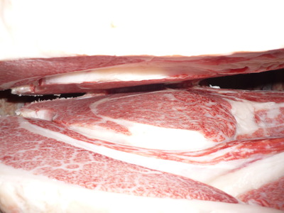 ��ͥ���ޡ�156(ͭ)��ƣ�Ҿ쭡