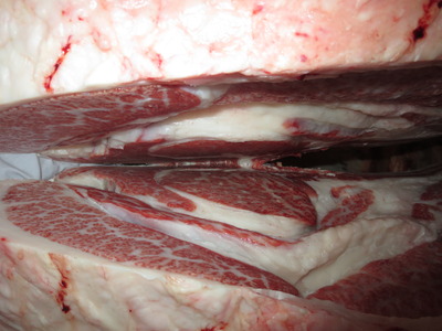 20201106.148���ĭ�