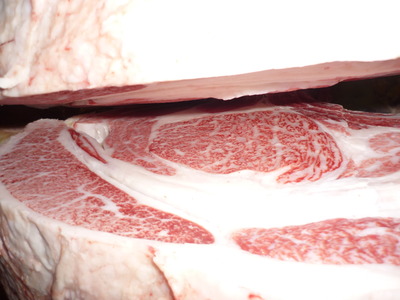 Í¥ÎɾÞ120º´Æ£¹¨Ìï¡