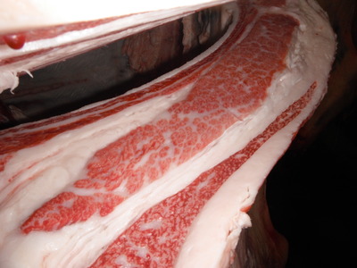 ºÇÍ¥½¨¾Þ¡¦¼Ä¸¶¹§»°¢