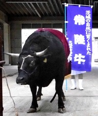 ��ƣ�Ҿ졦���έ�