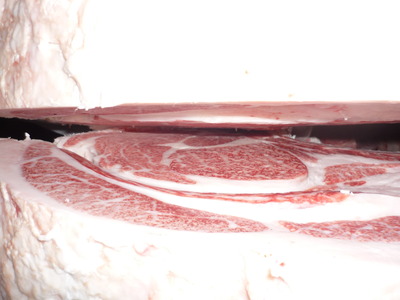 ͥ�ɾޡ�181�����ٻ��׭�