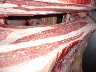 Í¥Îɾޡ¡104·ªÅç´î¹¥¢