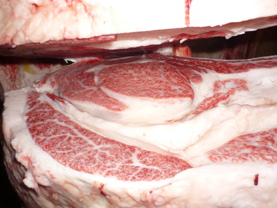 ͥ���ޣ��ʡ�151(ͭ)���Ĥټ����Ҿ쭡