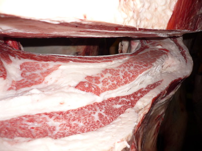 Í¥ÎɾÞ56¼ÆÅÄÃμù¢