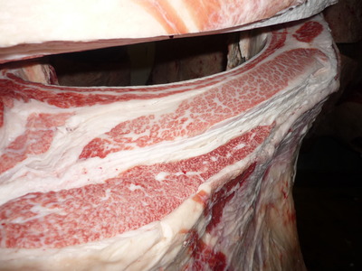 ̾���ޭ꾾���Ҿ쭢