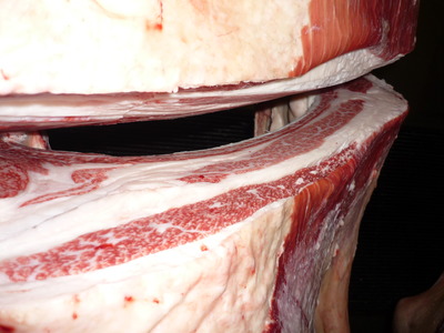 Í¥Îɾޡ¡064À®Åç¹î¸Ê¢