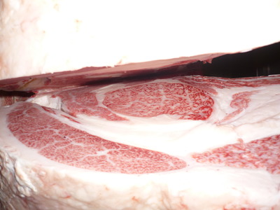 083����ͥ���ޡ���������