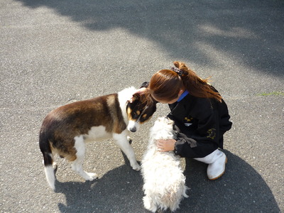 ��ʿ�Ҿ� 020