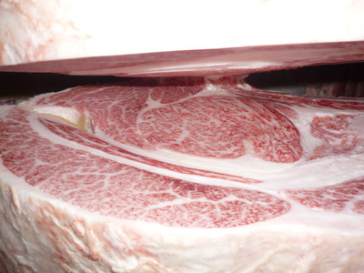 ��ͥ���ޡ�17Ȫü��