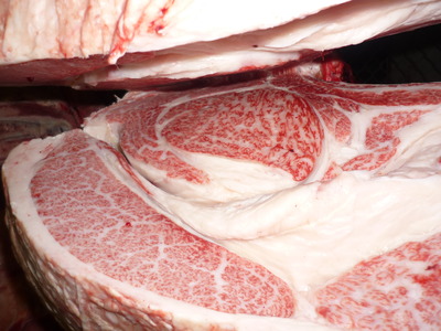 ºÇÍ¥½¨¾Þ126ê²ÚÀîËÒ¾ì¡