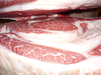 ͥ�ɾޡ�5016���Ĥټ����Ҿ쭡