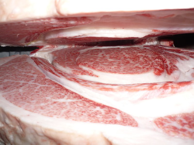 ̾ÍÀ¾Þ¡¡088½ÂÂôÀ¿¡