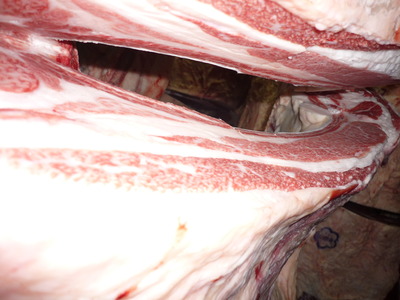 ��ͥ���ޡ�02��ƣ��Ƿ��