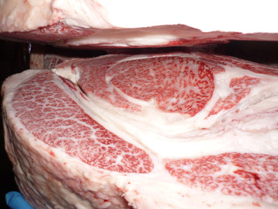 Í¥ÎɾÞ117ß§ß·ÃÜ»ºê¡