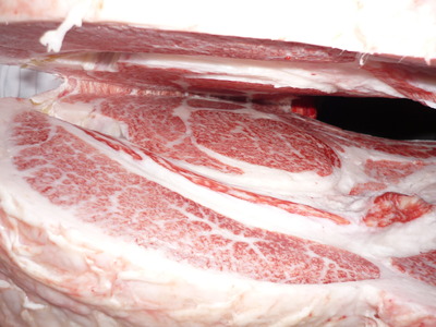 Í¥½¨¾Þ£³ÀÊ¡¡093ĹÅ羡ÃË¡