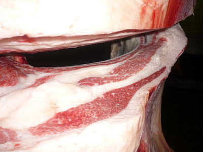 ͥ�ɾޡ�67��ƣ�Ҿ쭢