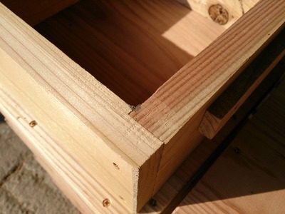e594772e.jpg