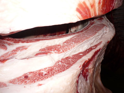 ͥ�ɾޡ�081Ĺ�羡�˭�