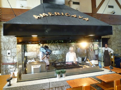 ¥¢¥á¥ê¥«²° 028