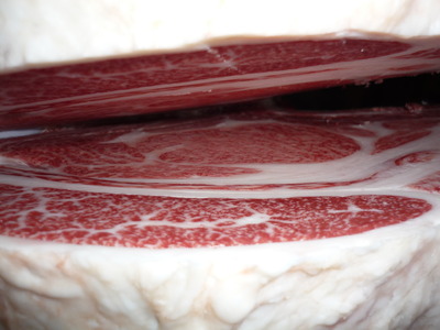 ͥ�ɾޡ�5499�������ܻ��ꭡ