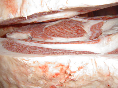 ͥ��1�ʵ���1