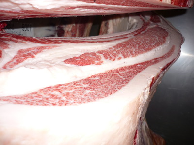 ��ͥ���ޡ�5006��ƣ�Ҿ졡��