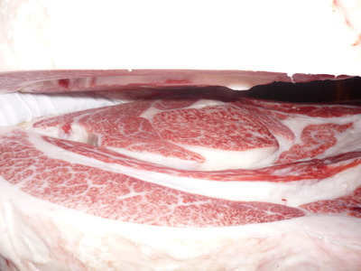 ͥ���ޣ��ʡ�124���ڭ�