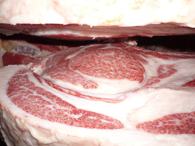 Í¥½¨¾Þ£±ÀÊ58º´Æ£½¤¡